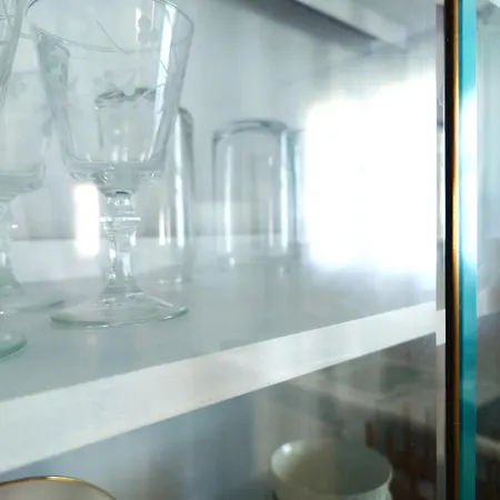 Plectranthus * Parikia (Paros)