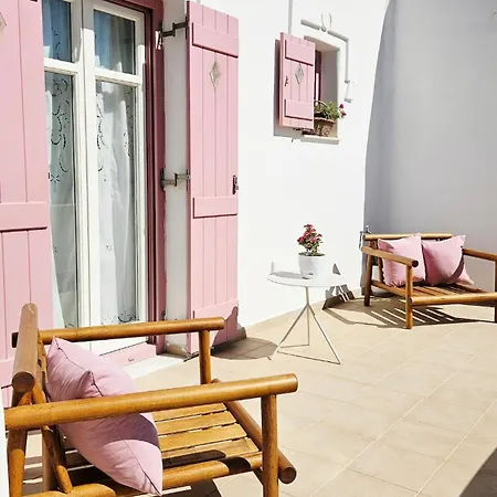 Apartment Plectranthus