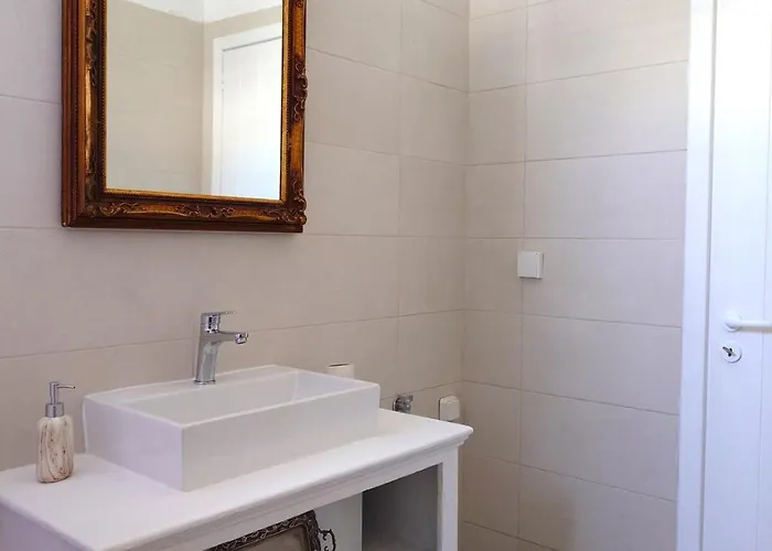 Plectranthus アパート *