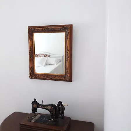 Plectranthus פארוס