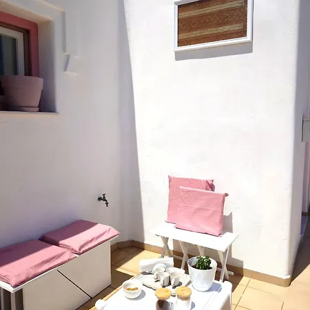Plectranthus Apartment