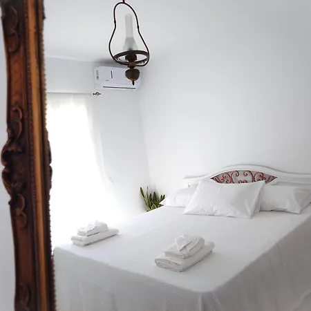 Plectranthus דירה פארוס