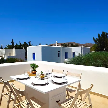 Plectranthus * Páros