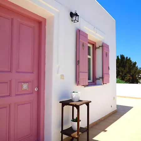 דירה Plectranthus פארוס