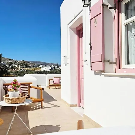 Plectranthus * פארוס