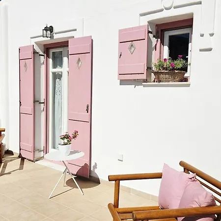 Plectranthus דירה