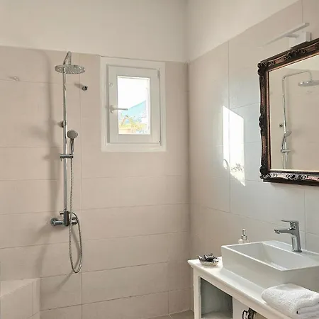 Plectranthus דירה