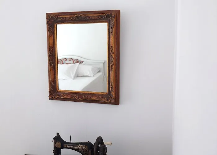 Plectranthus Parikia (Paros)