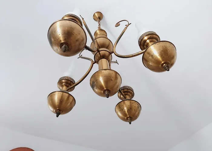 Plectranthus Parikia (Paros)